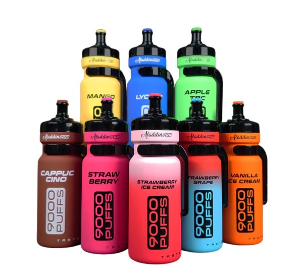 alddin enjoy aladdin enjoy